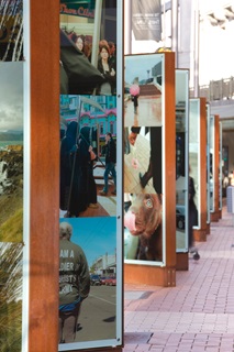 Three Stories Up exhibition installed on Courtenay Place.