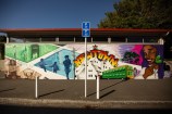 A mural painted on a wall in Daniell St, Newtown.