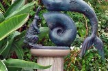 Looking & Listening for the Sea