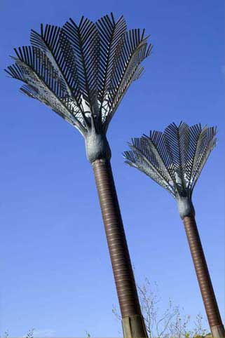 Nikau Palms