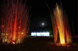 Pacific Grass