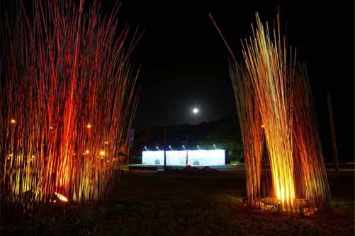 Pacific Grass