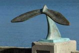 Tail of the Whale