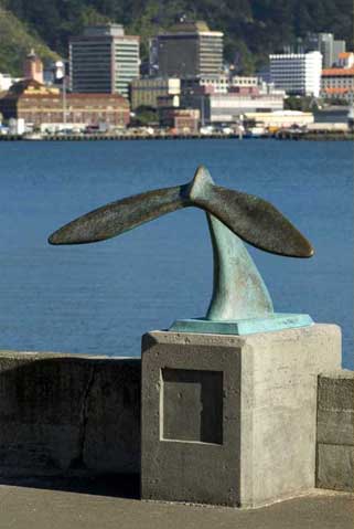 Tail of the Whale