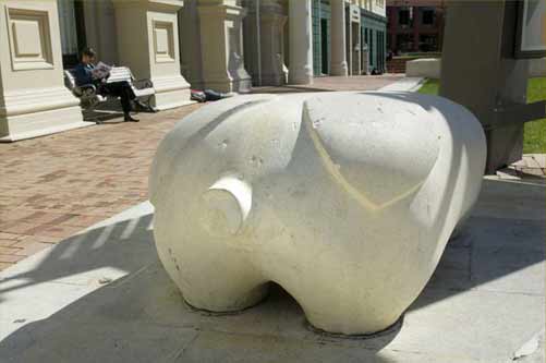 The Pig
