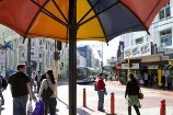 Umbrella