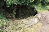 Horse Trough