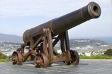 Mt Victoria Cannon