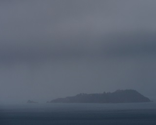 Matiu/Somes Island in the drizzle.