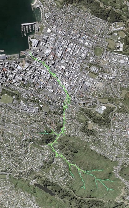 A satellite image of central Wellington suburbs, with Waimāpihi Awa and its tributaries indicated in green. 