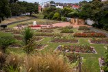 A flat lawn with several areas with roses planted and memorial bricks surrounding them.