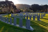 Rows of grey headstones in a line.