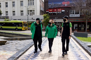 Local Hosts in Wellington City.