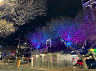 Temporary lighting installations on Courtenay Place.
