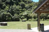 Troup Picnic Area at Ōtari-Wilton's Bush.