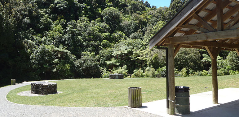 Troup Picnic Area at Ōtari-Wilton's Bush.