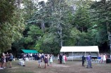 The Dell, Wellington Botanic Garden.