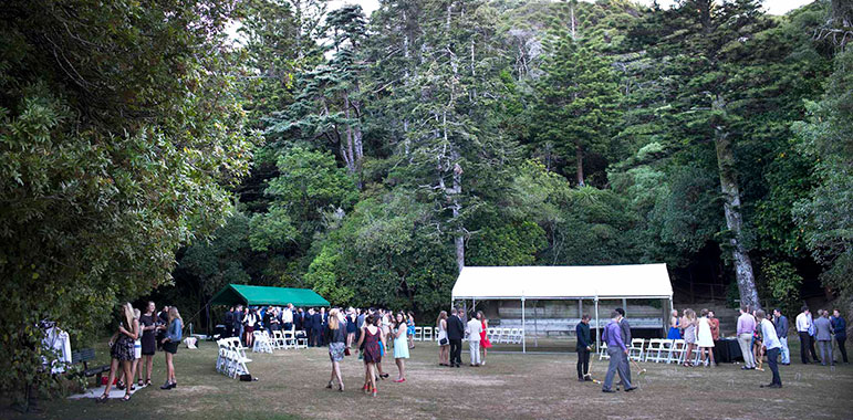 The Dell, Wellington Botanic Garden.