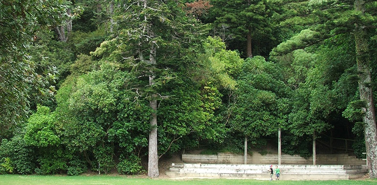 The Dell, Wellington Botanic Garden.