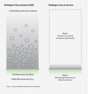 A graph showing Wellington City emissions in 2020 are ~1,050,000 tonnes of CO2e emitted with 70,000 tonnes offset. At net zero our emissions will have reduced our emissions significantly and the remaining will be offset by forestry.