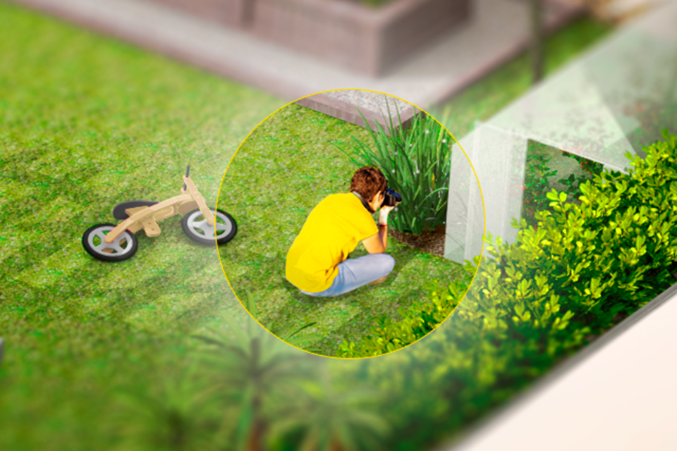 Illustration of boy taking photos of garden.