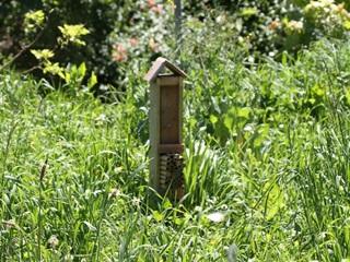 Bug hotel.