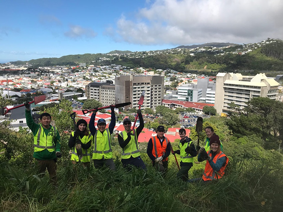 Volunteers posing after planting trees above Newtown.