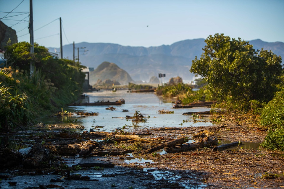 Waves threw debris across roads on Wellington's south coast.