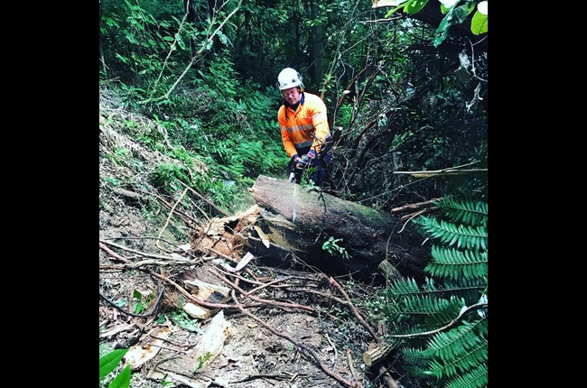 Arborist saves the day for two nurses