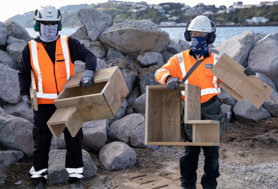 Downer construction workers holding two penguin nesting boxes