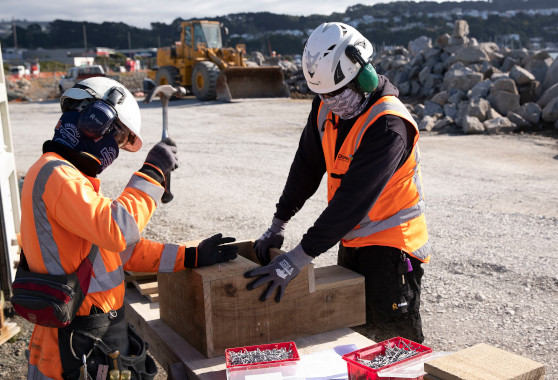 Downer construction workers building penguin nesting boxes with a hammer