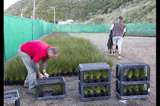 Hardy to handle famous Wellington wind