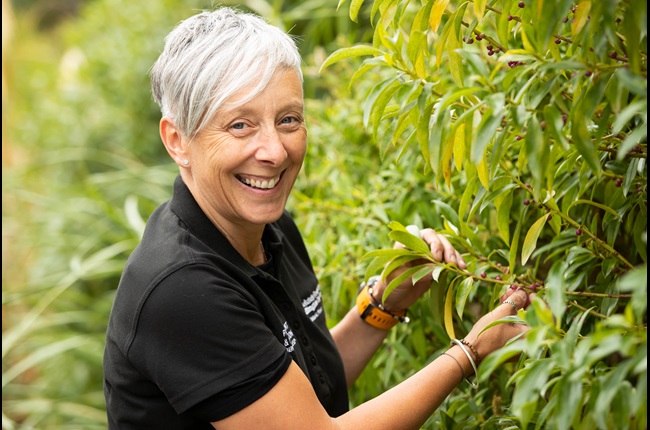 Dream job foraging for seeds in Pōneke