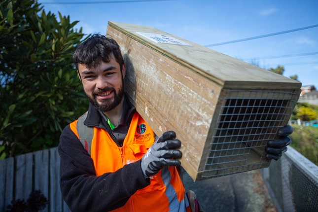 Image of Predator Free Wellington staff carrying box to install 