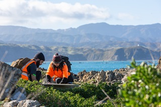 Image of Predator Free Wellington staff installing box on coast