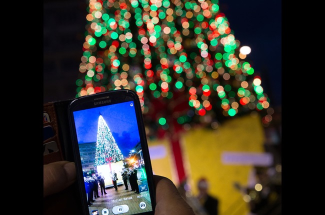 Easy to Love Local this Christmas in Wellington