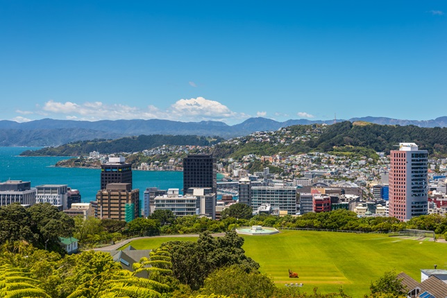 View of Wellington city from Kelburn on a summer's day. 