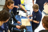 The Wellington Zoo team during the feather transplant.