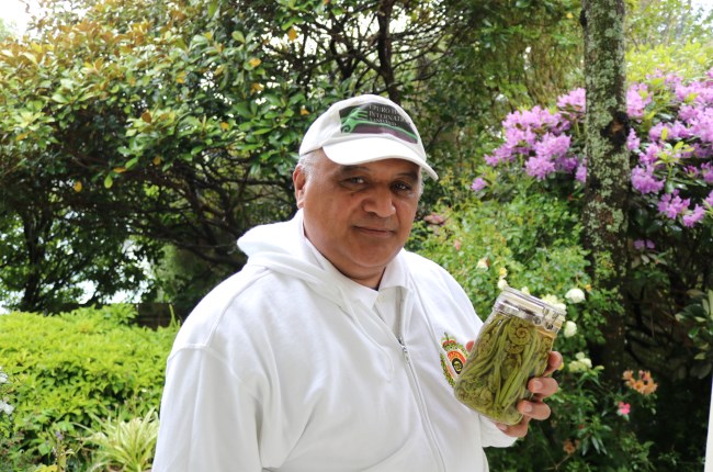 Welly Walks: Foraging for our indigenous foods