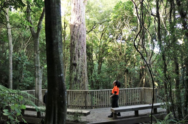 Welly Walks: Guardian of our special wild places