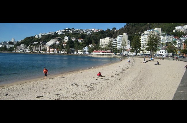 Oriental Bay sea wall repairs start soon