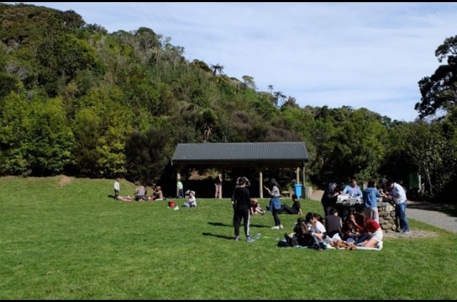 Friday Five: Welly's top picnic spots