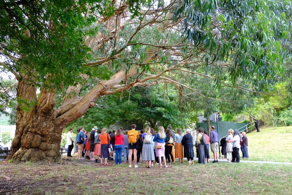 A magnificently large tree with more than 30 people crowded together underneath it, in a park.