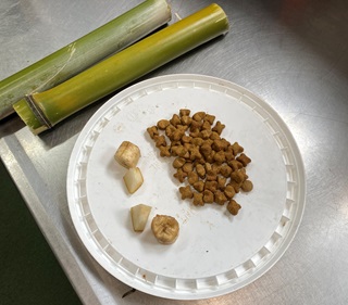 A white bucket lid with pieces of fruit and kibble sitting on a silver bench next to two cut up bamboo shoots.