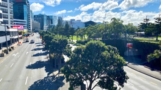 A favourite project of Logen's” involved planting more than 50 trees along Jervois and Customhouse Quays. 