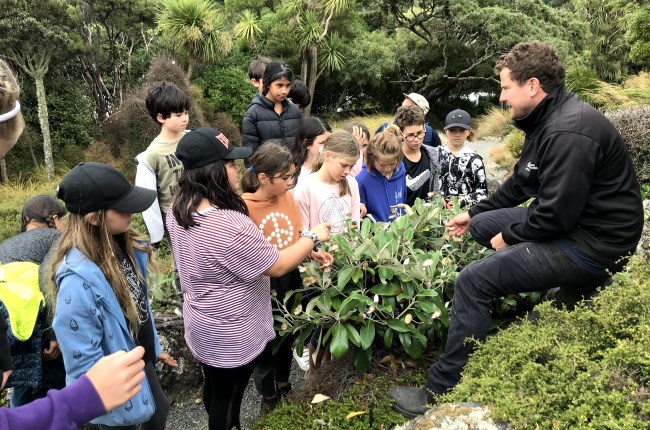 Kids get close to nature with Enviroschools