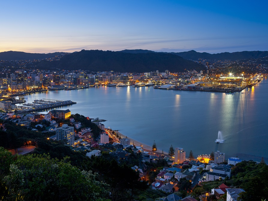A photograph of Wellington city taken from Mount Victoria during sundown, with the harbour and sky in blue light, and the city lights switching on.