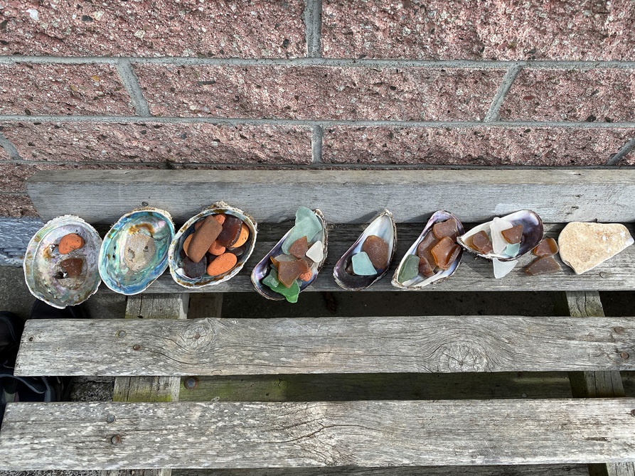 A line-up of seven paua shells filled with sea glass and bright brick-red stones on a wooden slat bench.