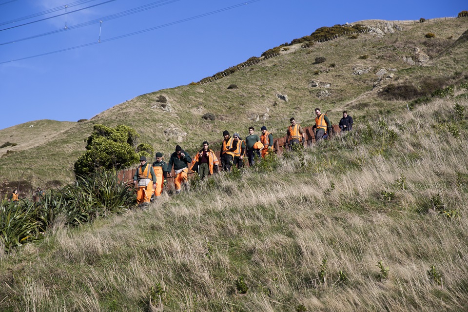 Two millionth tree planting on hill