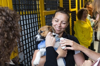 Vicki Harwood with a blond ponytail and sunglasses on her head, looking down smiling at the dog she is holding, with two people surrounding her patting the dog, which is tan and white-coloured and wearing a blue pet coat.